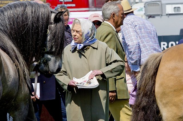 Террорист с мечом из-за навигатора попал в паб вместо Виндзорского замка