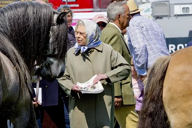 Террорист с мечом из-за навигатора попал в паб вместо Виндзорского замка