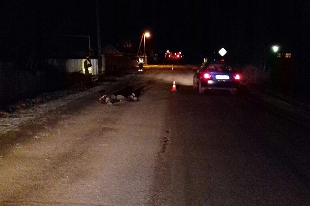 В Буланаше водитель ВАЗа сбил насмерть велосипедиста