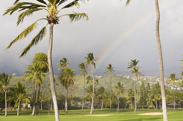 Женщина 17 дней выживала в лесу и ела насекомых
