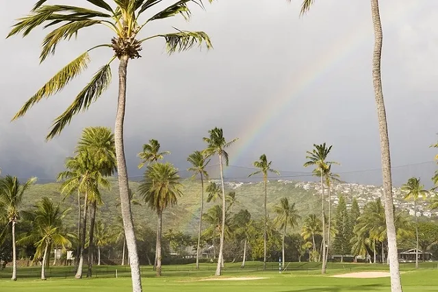 Женщина 17 дней выживала в лесу и ела насекомых