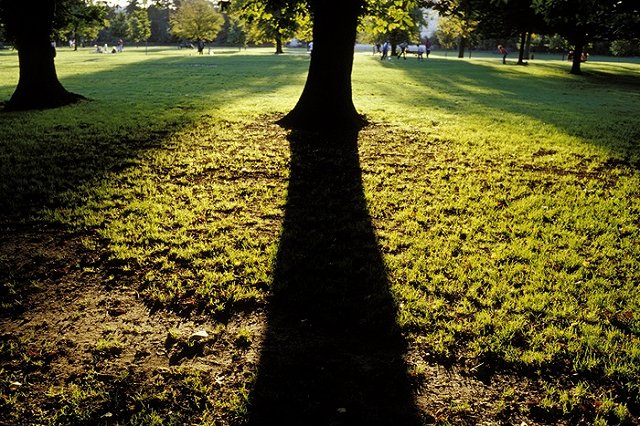 В Лондоне нашли мертвой 17-летнюю скрипачку из России