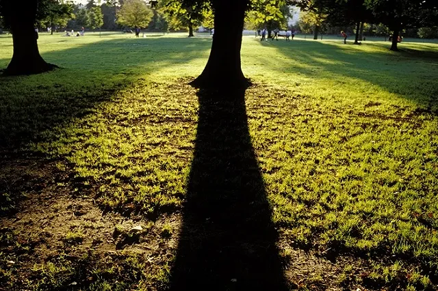 В Лондоне нашли мертвой 17-летнюю скрипачку из России