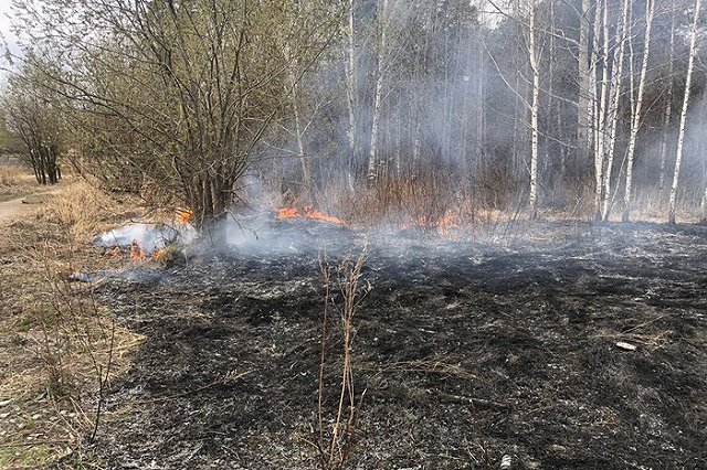 В Свердловской области начал действовать особый режим ЧС