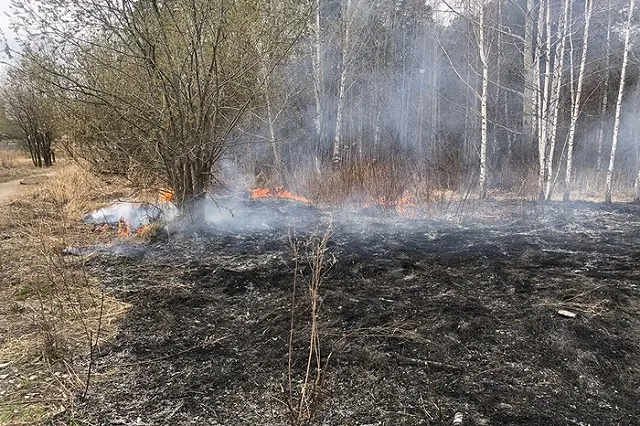 В Свердловской области начал действовать особый режим ЧС