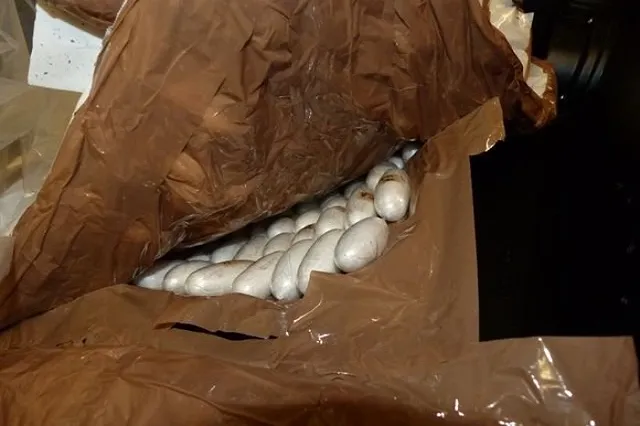 Беременную дочь телеведущей Марианны Максимовской задержали с наркотиками