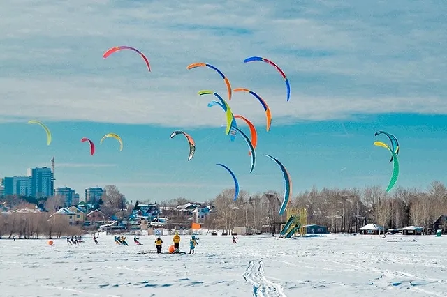 Архитекторы проведут встречу с екатеринбуржцами, чтобы обсудить будущее Шарташского лесопарка