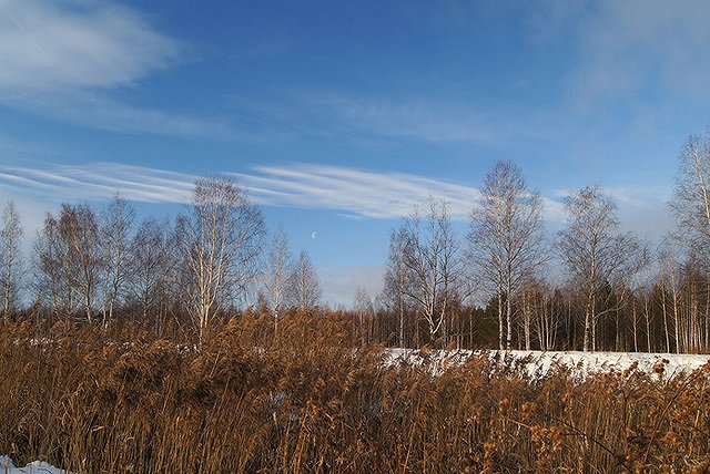В Екатеринбурге не нашлось желающих застроить 17 га элитной земли