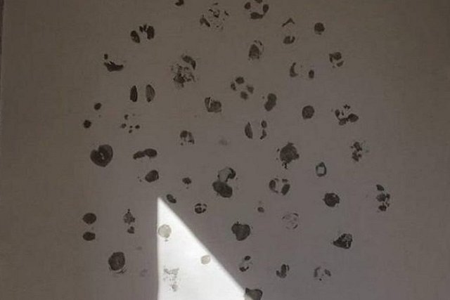 В Екатеринбурге вандалы «отковыряли» от стены арт-объект