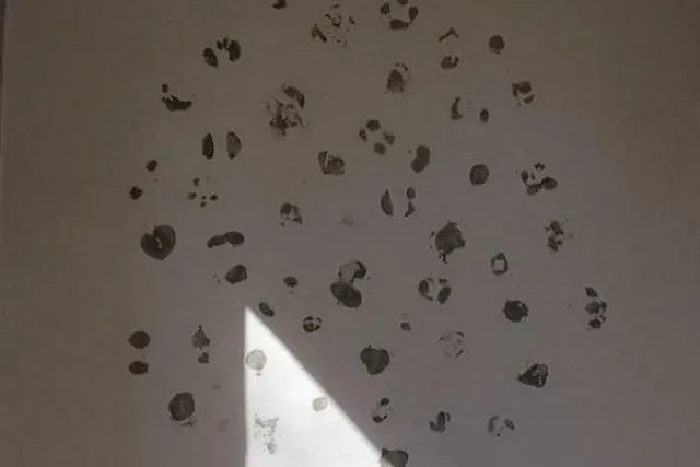 В Екатеринбурге вандалы «отковыряли» от стены арт-объект