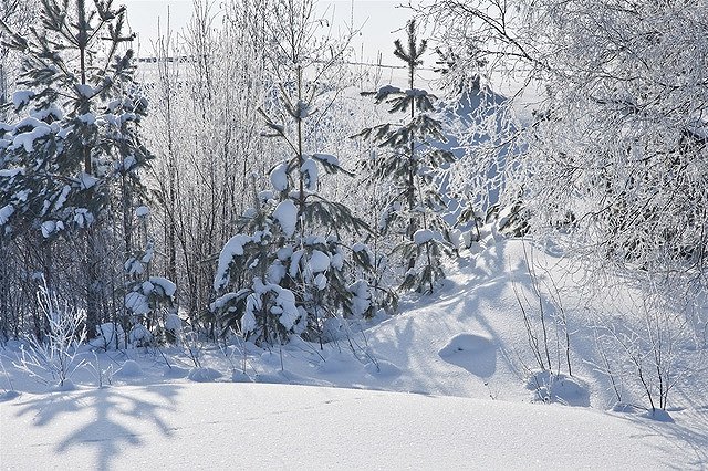 В Екатеринбурге на автобусной остановке молодые люди спасли замерзшую девушку