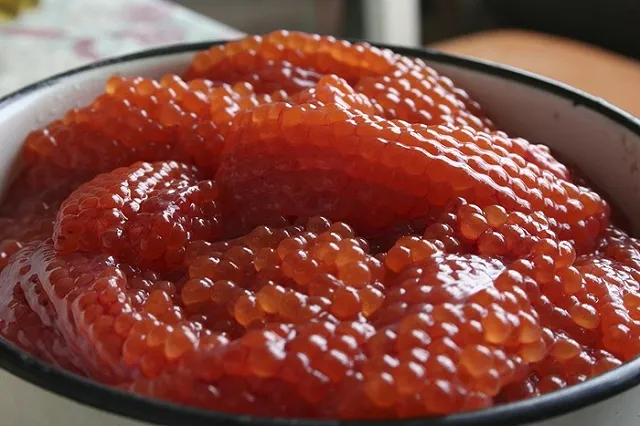 В Магаданской области пограничники нашли тайники с 650 кг икры