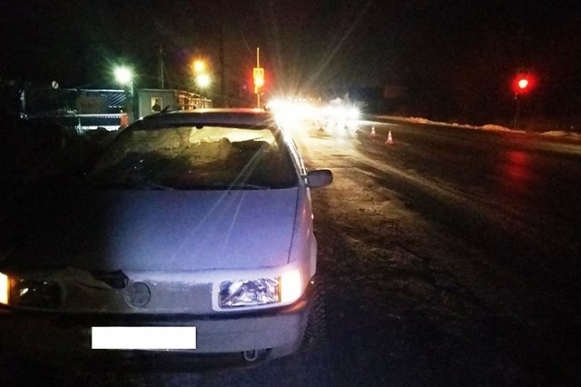 ГИБДД ищет очевидцев ДТП на Раздольной, после которого пешеход впал в кому