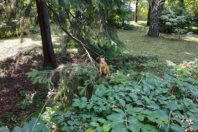 Депутат Сергин объяснил, как екатеринбуржцы получают «кирпичи» вместо «яблок»