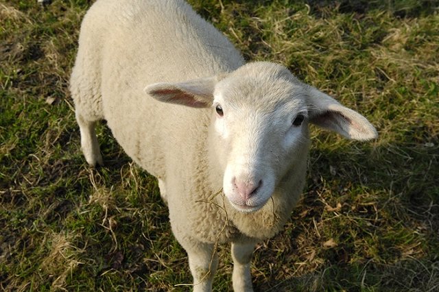 Суд над убийцами водителя-грузоперевозчика начался в Екатеринбурге