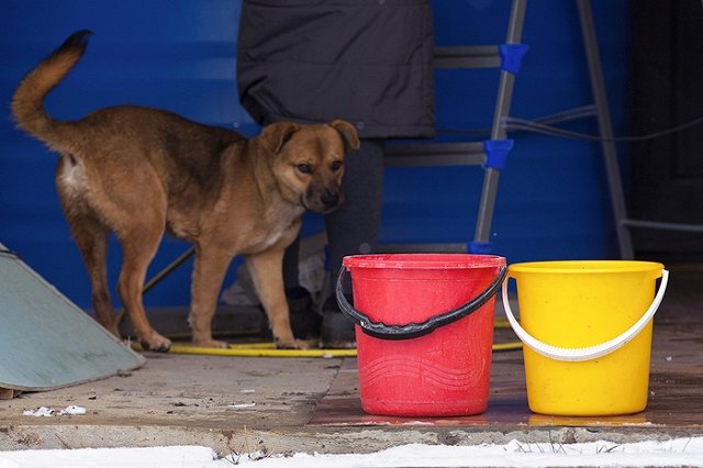 «Даже в украинские времена на такие грехи не пускались». Блогер назвал главные проблемы Крыма