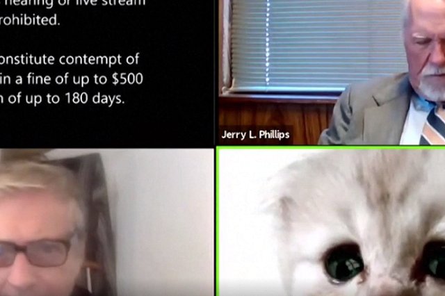 «Я не кот». Прокурор в США появился через Zoom в виде кота на суде