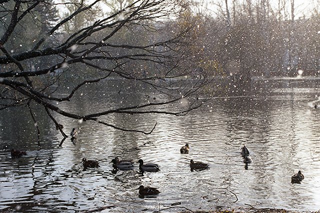 Три жилых дома в Екатеринбурге остаются без тепла из-за капремонта