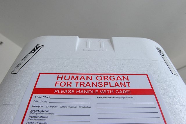 Умершая от укола лидокаина девочка ждала трансплантации почки