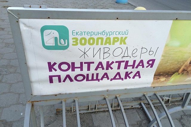 Екатеринбургский зоопарк отстроит кафе с верандой для посетителей