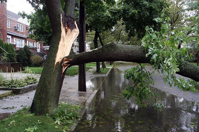 Синоптики объявили штормовое предупреждение в Свердловской области