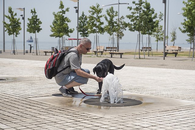 Европа столкнулась с небывалой жарой из-за «Люцифера»