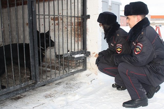 В Екатеринбурге «Майбах» нашёл пистолет в салоне легкового автомобиля