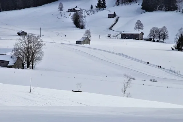 Двое мужчин избили свердловчанку, которая пожаловалась на неубранный снег
