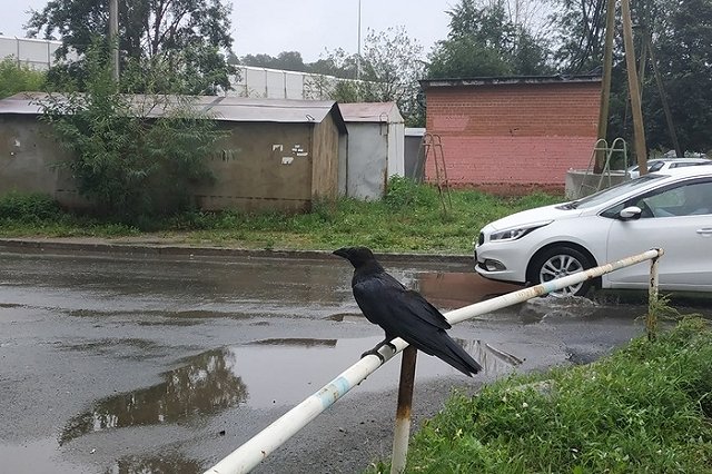 «А если совсем платить перестанут?». Эксперт прокомментировала идею повысить тарифы ЖКХ на 5%