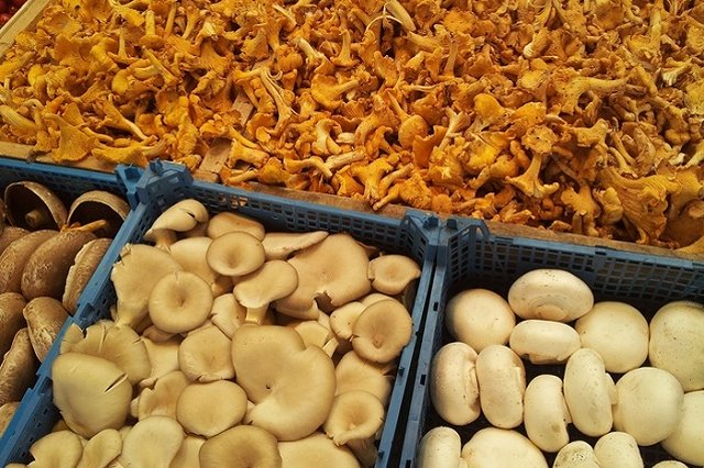 Свердловчанин попал в больницу, отравившись грибами