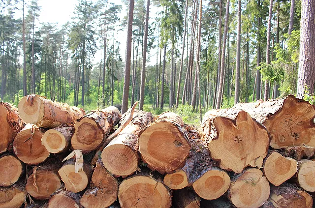 Вынесен приговор трактористу, который случайно раздавил охранника колонии