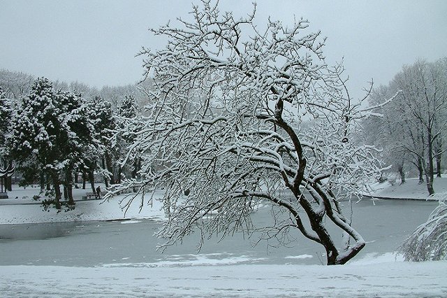 В Свердловской области в ближайшие дни ожидается сильный снегопад и штормовой ветер