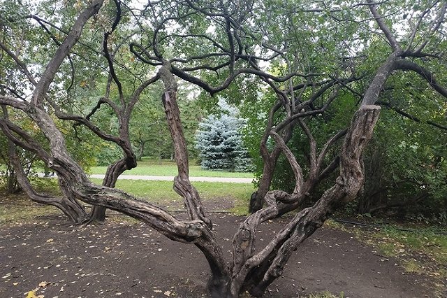 В дендрарии Екатеринбурга возле легендарной надписи на стене открыли фотозону