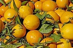 Апельсины разрушают женщин изнутри