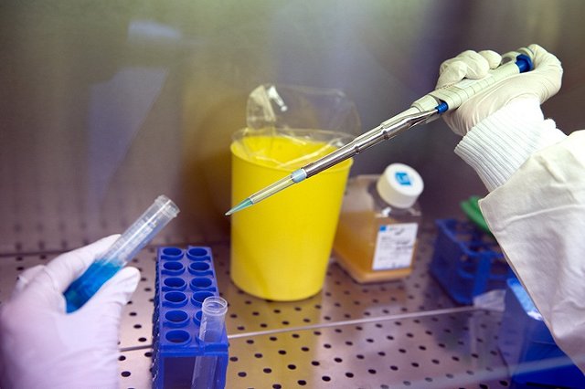 Россия спасет мир от Эболы