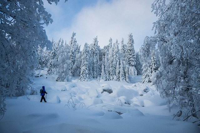 В Екатеринбург идут крещенские морозы