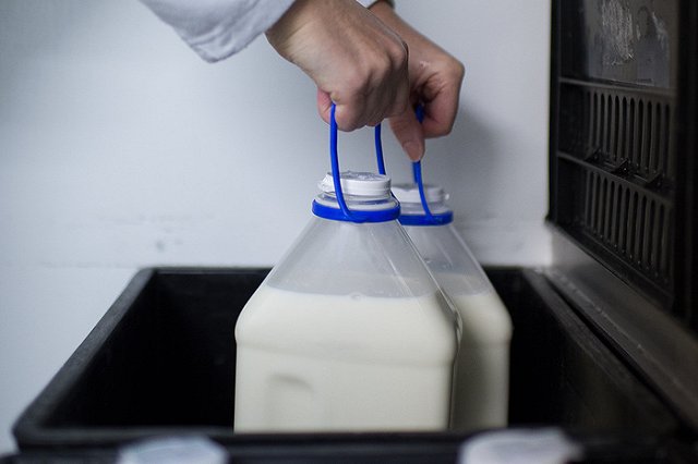 Свердловская область вышла в лидеры УрФО по росту цен на молоко