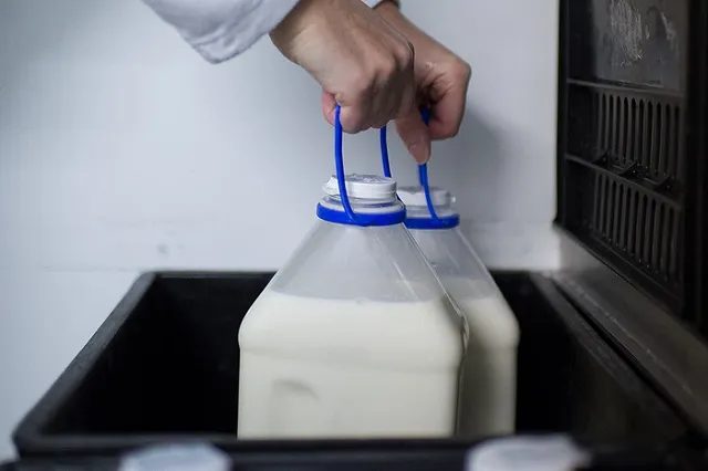 Свердловская область вышла в лидеры УрФО по росту цен на молоко