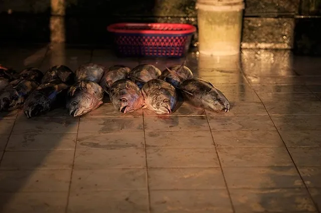 Поставки минтая на российский рынок остановлены из-за обвала цены