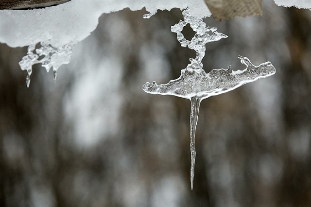 С понедельника в Екатеринбурге начнет стремительно теплеть