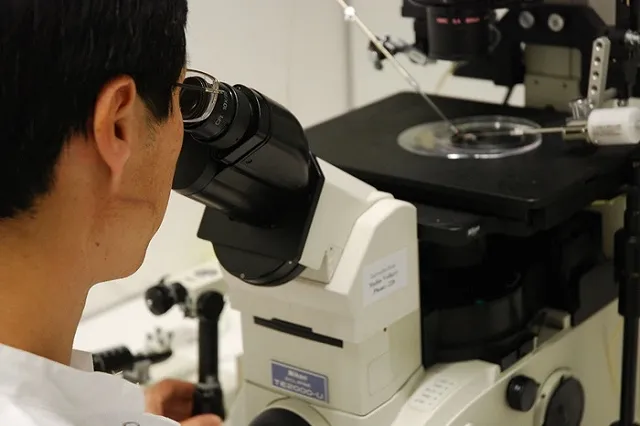 Американские военные по ошибке отправили в Южную Корею споры сибирской язвы