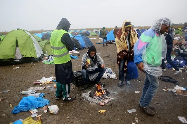 Австрийский политик показал видео раздачи еды мигрантам в Венгрии