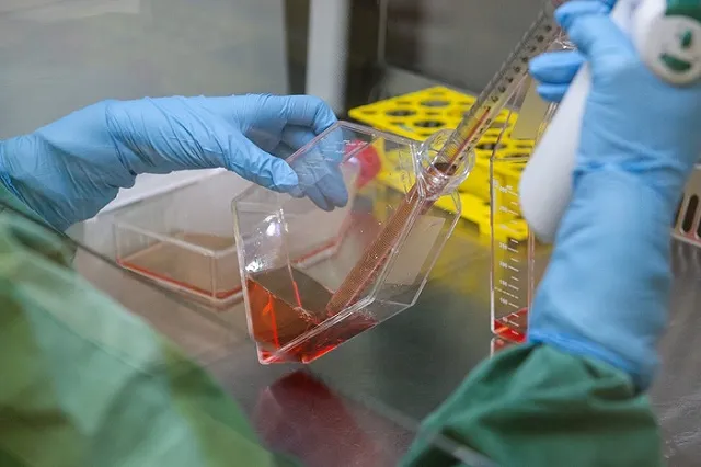 Три тысячи россиян в 2015 году вернулись из зарубежных отпусков с инфекциями