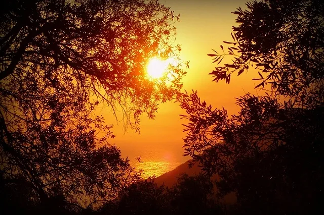 Последняя неделя июля станет самой жаркой в этом году