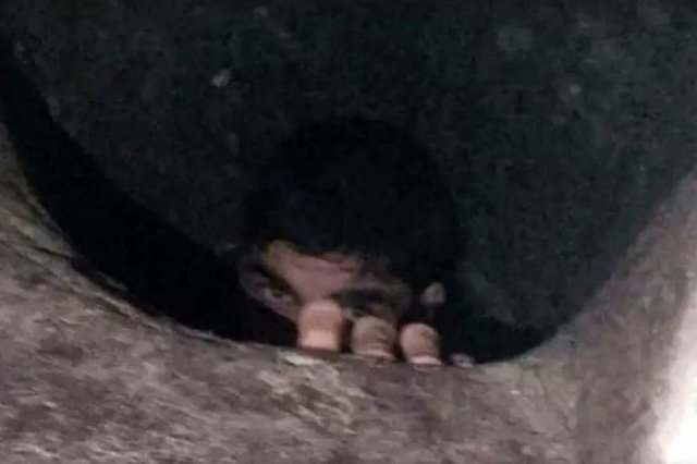 Россиянин застрял в мусоропроводе при попытке достать свой паспорт — видео