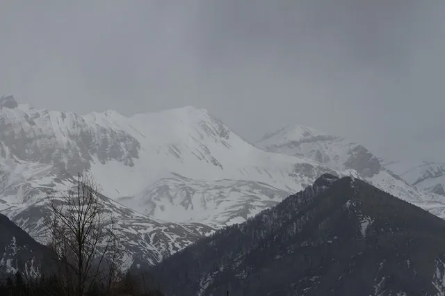 Стало известно содержание второго черного ящика разбившегося A-320