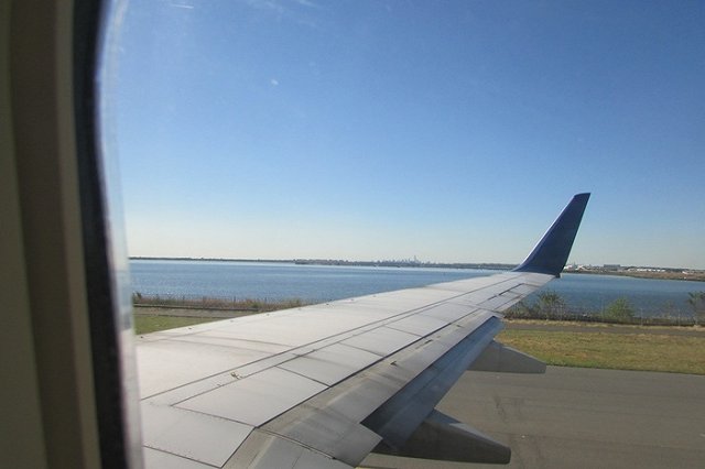 В Екатеринбурге самолет столкнулся с птицей