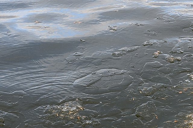 На Преображенском пруду в «Академе» снова видели гуляющего по льду ребенка (ВИДЕО)