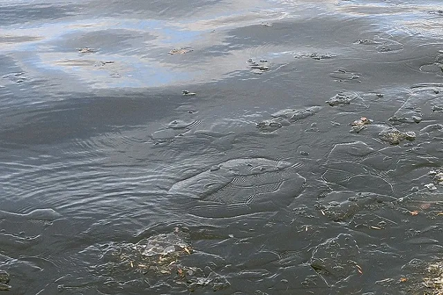 На Преображенском пруду в «Академе» снова видели гуляющего по льду ребенка (ВИДЕО)