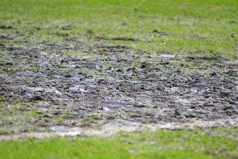 Полиция начала отслеживать любителей парковаться на газонах